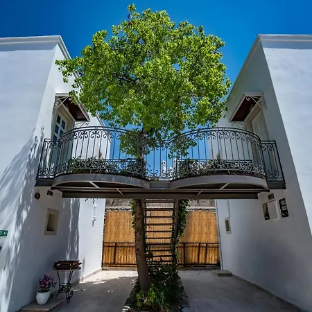 Hotel Manzara Boutique - Adults Only Bodrum