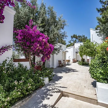 Manzara Boutique - Adults Only Hotel Bodrum