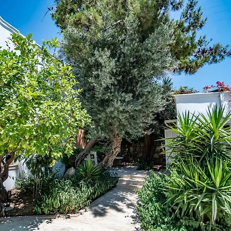 Manzara Boutique - Adults Only Hotel Bodrum
