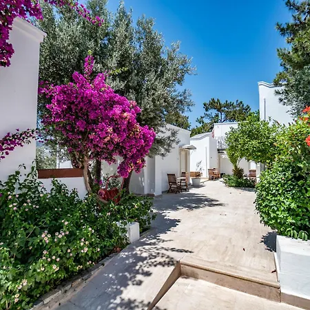 Manzara Boutique - Adults Only Hotell Bodrum