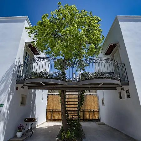 Manzara Boutique - Adults Only Hotell Bodrum