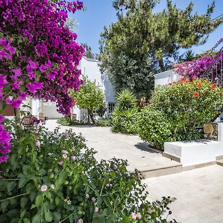 Manzara Boutique - Adults Only Hotel